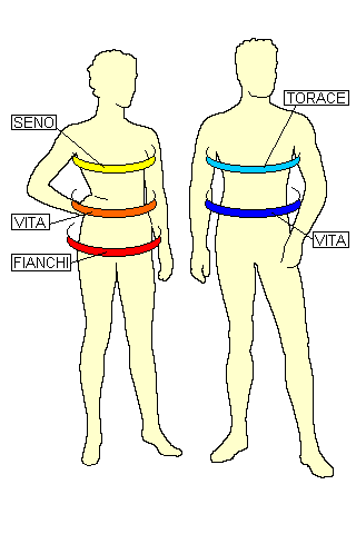 Schema per rilevare le misure della taglia